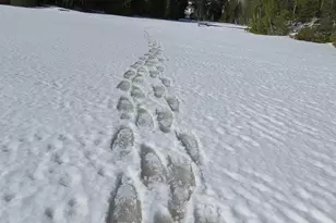 261 Caps Trail, Lutsen, MN 55612 - Photo 47