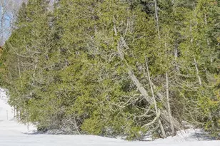 261 Caps Trail, Lutsen, MN 55612 - Photo 65
