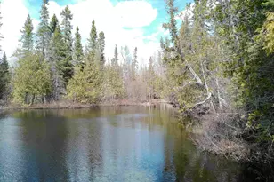 261 Caps Trail, Lutsen, MN 55612 - Photo 7