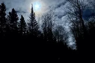 261 Caps Trail, Lutsen, MN 55612 - Photo 49