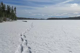261 Caps Trail, Lutsen, MN 55612 - Photo 61