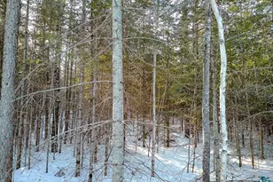 261 Caps Trail, Lutsen, MN 55612 - Photo 39