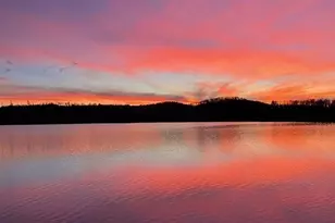 261 Caps Trail, Lutsen, MN 55612 - Photo 59