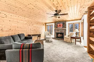 67 Snowshoe Trail, Tofte, MN 55615 - Photo 13