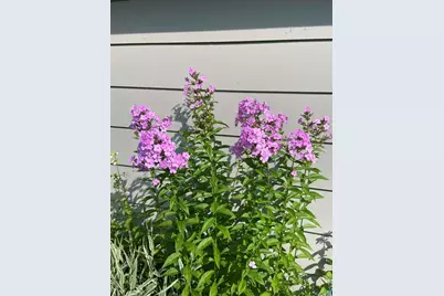 6202 Highway 73, Floodwood, MN 55736 - Photo 45