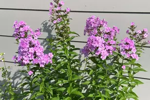 6202 Hwy 73, Floodwood, MN 55736 - Photo 45