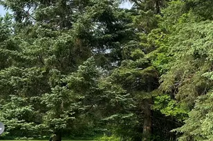 6202 Hwy 73, Floodwood, MN 55736 - Photo 43