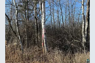 Parcel A Parameter Rd, Deer River, MN 56636 - Photo 19