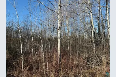 Parcel A Parameter Rd, Deer River, MN 56636 - Photo 21