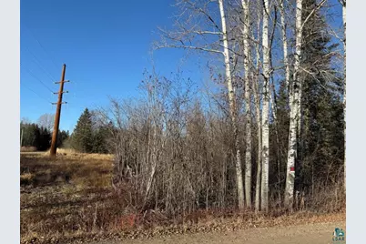 Parcel C Parameter Rd, Deer River, MN 56636 - Photo 21