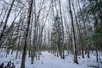 0000 Bass Lake Rd, Gilbert, MN 55741 - Photo 27