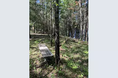 0000 Bass Lake Rd, Gilbert, MN 55741 - Photo 23