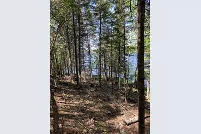 0000 Bass Lake Rd, Gilbert, MN 55741 - Photo 39