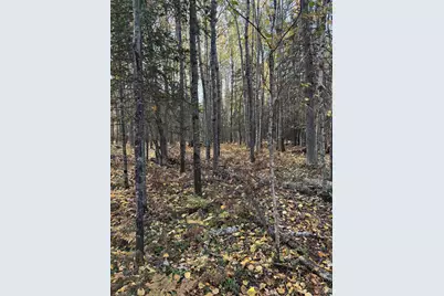 0000 Bass Lake Rd, Gilbert, MN 55741 - Photo 35