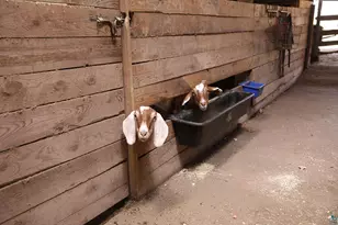 53253 W Grindstone Lake Rd, Sandstone, MN 55072 - Photo 21