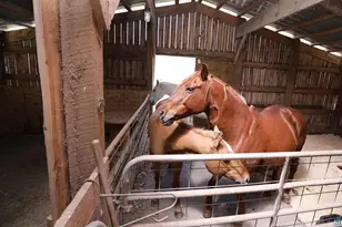 53253 W Grindstone Lake Rd, Sandstone, MN 55072 - Photo 19