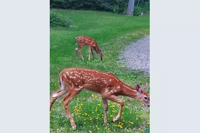 13462 Villa Rd, Ely, MN 55731 - Photo 49