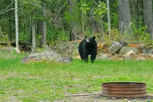 13462 Villa Rd, Ely, MN 55731 - Photo 53