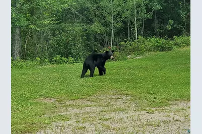 13462 Villa Rd, Ely, MN 55731 - Photo 51