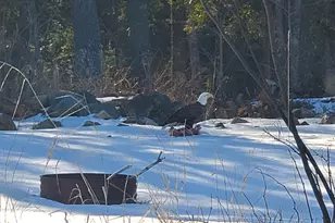 13462 Villa Rd, Ely, MN 55731 - Photo 57