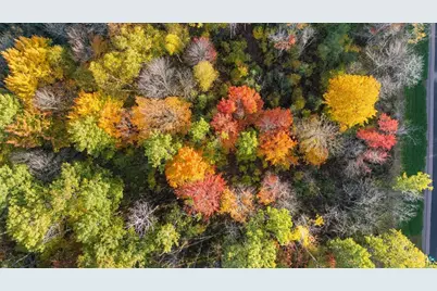 Tbd Jenny Farms Ln, Hermantown, MN 55810 - Photo 7