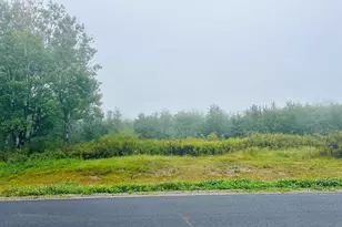 Tbd Jenny Farms Ln, Hermantown, MN 55810 - Photo 1