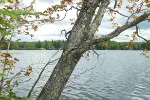 50Xx NE Comstock Bay Rd, Cotton, MN 55724 - Photo 1