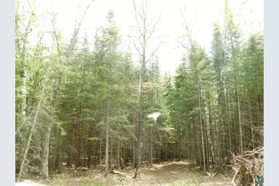 50Xx NE Comstock Bay Rd, Cotton, MN 55724 - Photo 5