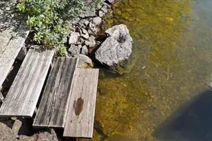 2050 Shipman Is, Ely, MN 55731 - Photo 17