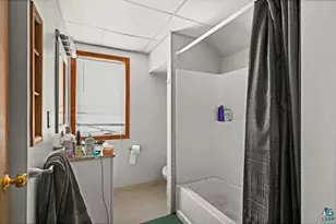 1027 E Ninth St, Duluth, MN 55805 - Photo 9