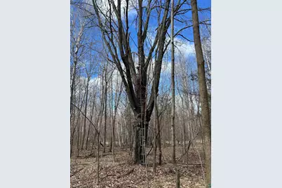 Tax Id 21 Hwy 63, Shell Lake, WI 54871 - Photo 15