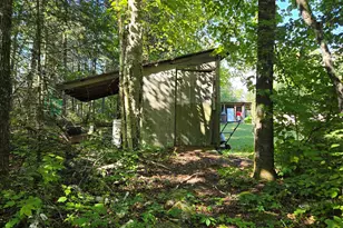 Tbd33 Donovan Point, Orr, MN 55771 - Photo 43