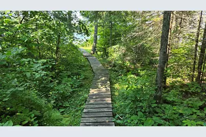 Tbd33 Donovan Point, Orr, MN 55771 - Photo 35