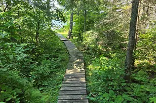 Tbd33 Donovan Point, Orr, MN 55771 - Photo 35