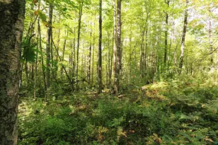 Xxx County Hwy C, Washburn, WI 54891 - Photo 1