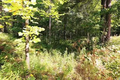 Xxx N 10th Ave W, Washburn, WI 54891 - Photo 3