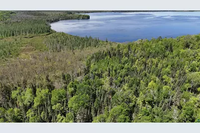 Tbd 21 Nett Lake Rd, Orr, MN 55771 - Photo 11