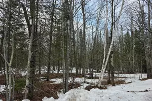 Xxx Stark Rd, Cloquet, MN 55720 - Photo 1