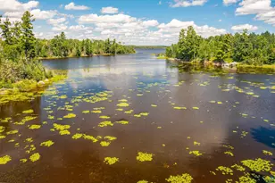 8431 Timber Bay Rd, Babbitt, MN 55706 - Photo 39