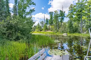 8431 Timber Bay Rd, Babbitt, MN 55706 - Photo 29