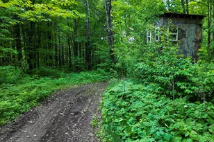 728 Caspers Hill Rd, Grand Marais, MN 55604 - Photo 9