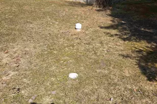 10597 Orr-Buyck Rd, Orr, MN 55771 - Photo 45