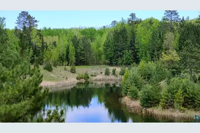 80064 Osprey Pass, Tower, MN 55790 - Photo 5