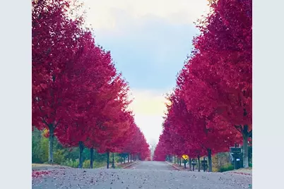 5011 White Pine St, Hermantown, MN 55811 - Photo 61