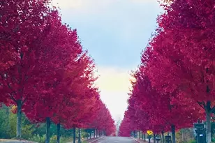 5011 White Pine St, Hermantown, MN 55811 - Photo 61