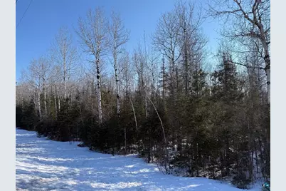 Xxx Hwy 12, Two Harbors, MN 55616 - Photo 15