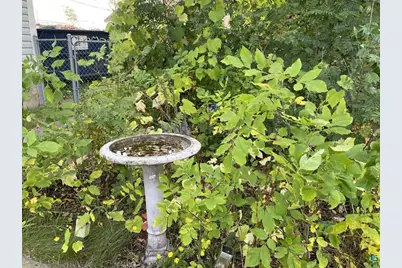 324 S 4th Ave E, Ely, MN 55731 - Photo 39