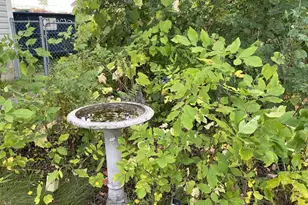 324 S 4th Ave E, Ely, MN 55731 - Photo 39