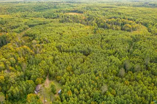 8644 Pulkinen Rd, Embarrass, MN 55732 - Photo 19