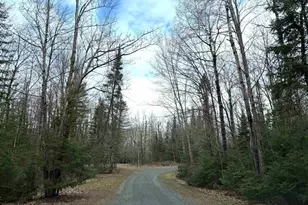 6588 S County Rd P, Lake Nebagamon, WI 54849 - Photo 53